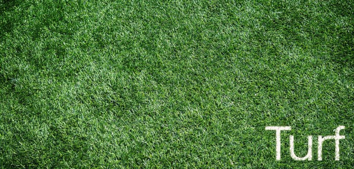 artificial-turf-1711556_1280-e1518648953836.jpg